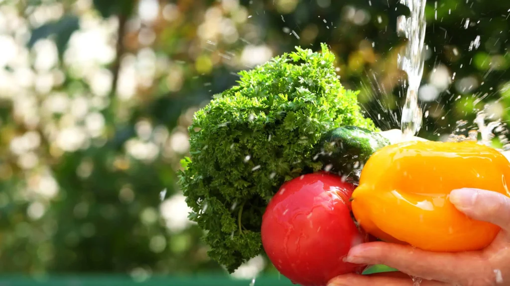 Four types of food contamination: biological, chemical, physical, and allergenic, represented by icons or illustrative examples.